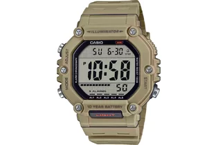 Часы Casio AE-1600H-5A кварцевые