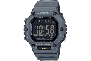 Часы Casio AE-1600H-8B кварцевые