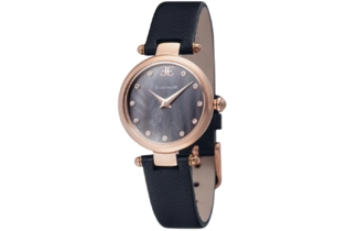 Часы EARNSHAW ES-8108-02 кварцевые